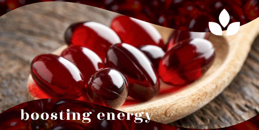 How Krill Preserves Muscle and Boosts Energy Levels