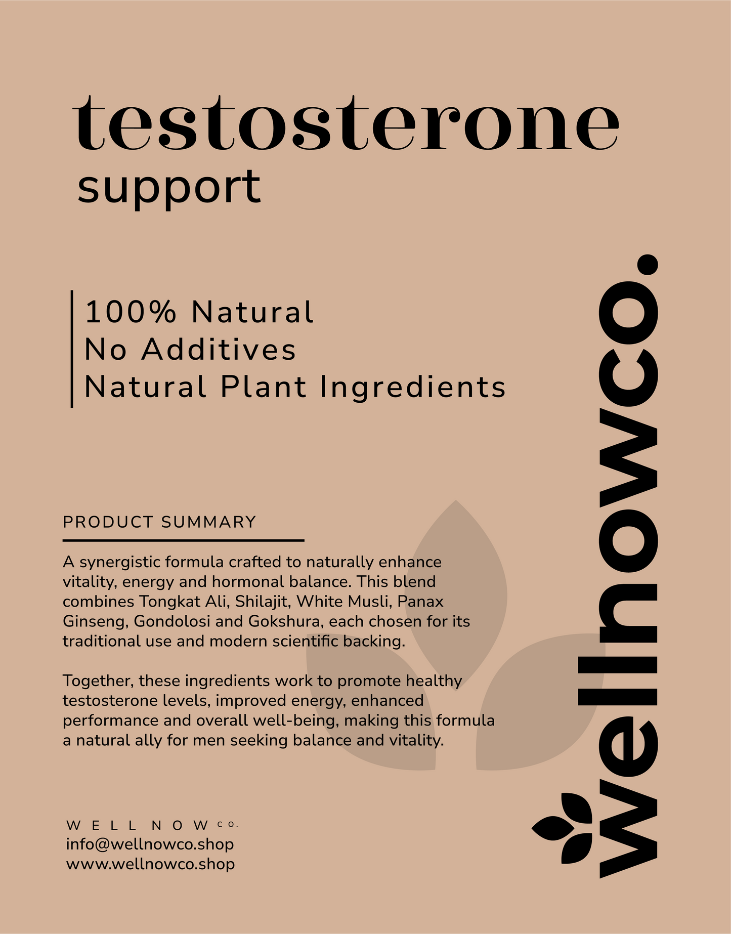 Testosterone Support - 90 capsules