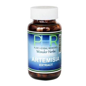 Artemisia Extract 500mg - 90 Capsules