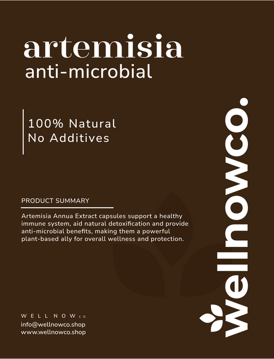 Artemisia Extract 500mg - 90 Capsules