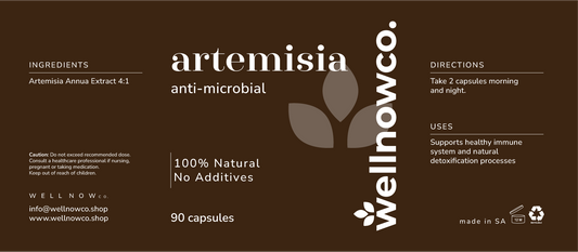 Artemisia Extract 500mg - 90 Capsules