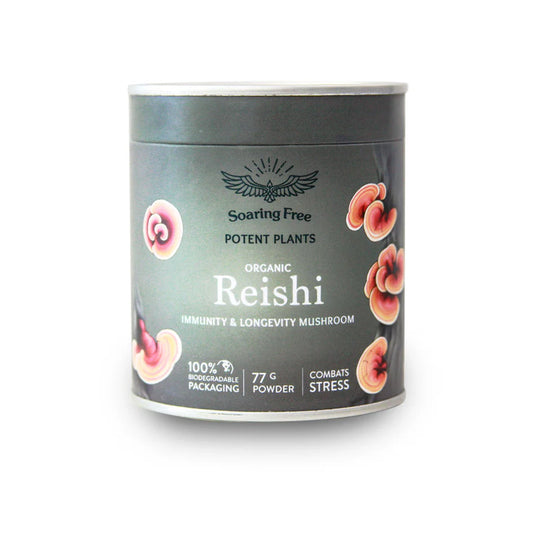 Organic Reishi Mushroom Powder - 77g