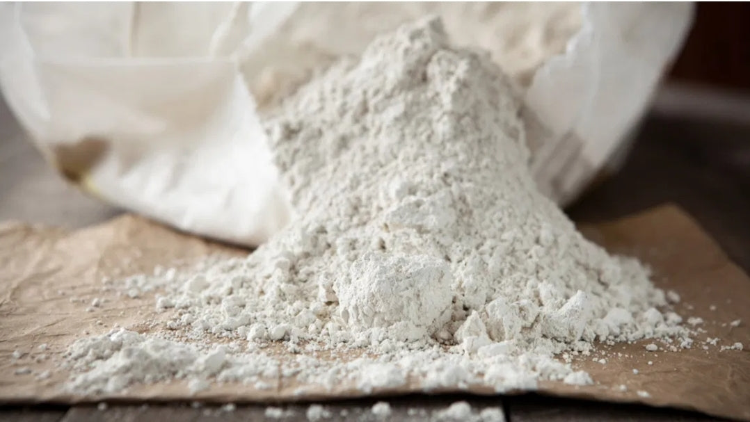 Diatomaceous Earth - 90 Capsules