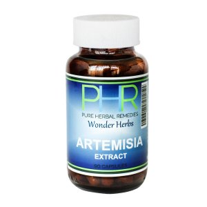 Artemisia Extract 500mg 90 Capsules